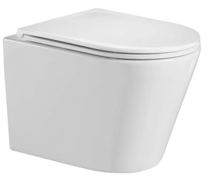 Подвесной унитаз WeltWasser Salzbach 043 GL-WT