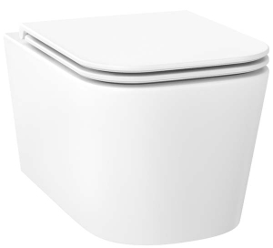 Подвесной унитаз Wellsee Graceful Pro RimFree 182601001