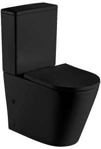 Напольный унитаз WeltWasser Salzbach 001 MT-BL