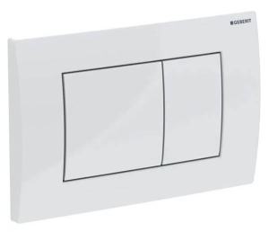 Кнопка для инсталляции Geberit Delta 30