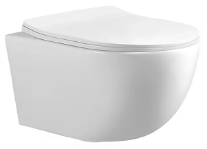 Подвесной унитаз Cerutti Orlter UF CT10361 безободковый