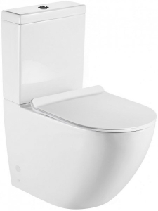 Напольный унитаз BelBagno Amanda BB051CPR безободковый