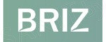 Briz