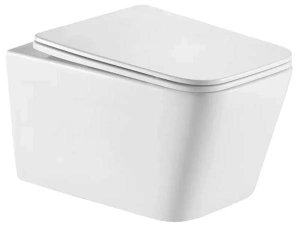 Подвесной унитаз Gid Tr2155 с сиденьем Soft Close