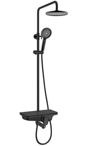 Душевая стойка WeltWasser WW DP 1020 BL