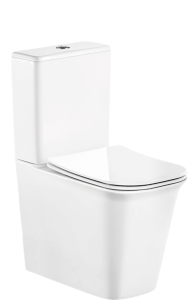 Напольный унитаз Cerutti Arno CT7838 безободковый с крышкой Soft Close