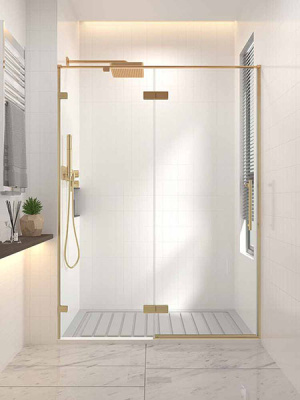 Душевая дверь Veconi Premium Alassio G