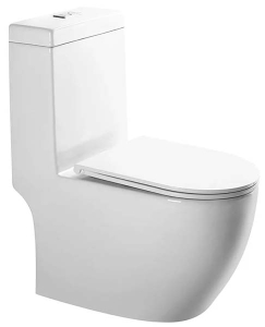 Напольный унитаз Gid Tr2205 с сиденьем Soft Close