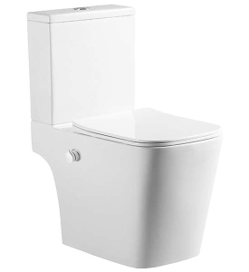 Напольный унитаз Amore di Mare Tronto Bidet N900-X с функцией биде