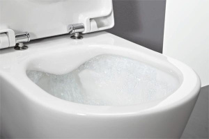 Подвесной унитаз Laufen Pro Rimless 8.2096.5.000.000.1 безободковый, белый