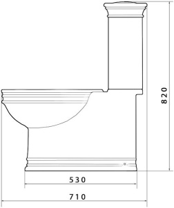 Напольный унитаз Caprigo Armonia 5813
