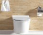 Подвесной унитаз SantiLine SL-5009