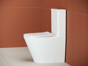 Напольный унитаз CeramicaNova Highlight CN1802 Rimless Soft Close