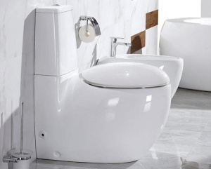 Напольный унитаз CeramaLux 2451 (с крышкой SoftClose), белый