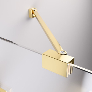 Душевая шторка на ванну Radaway Essenza Pro Gold PND, 100х150, прозрачный