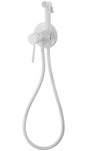Смеситель встраиваемый Remer Minimal N65BO с гигиеническим душем