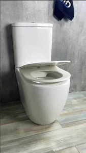 Напольный унитаз Gid Tr2177 с сиденьем Soft Close, белый