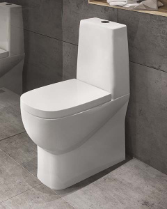 Напольный унитаз Sanita Luxe Infinity Mono SL DM (с крышкой SoftClose), белый