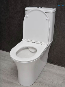 Напольный унитаз Gid Tn2126 с сиденьем Soft Close, белый