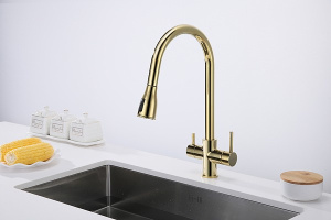 Смеситель для кухонной мойки Paulmark Lange La214212-G с подключением к фильтру воды