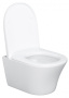 Подвесной унитаз Damixa Skyline DX35C1700SC