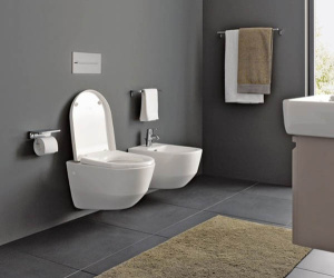 Подвесное биде Laufen Pro 8309520003021