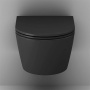 Подвесной унитаз AM.PM Func C8F1700MBSC