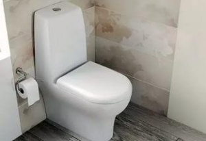 Напольный унитаз Vitra Zentrum 9012B003-7200 (сиденье Soft Close), белый