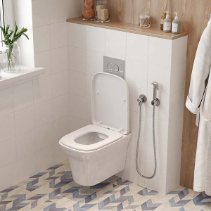 Подвесной унитаз Cerutti Ami CT8780 безободковый с крышкой SoftClose