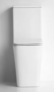 Напольный унитаз CeramaLux NS2171 безободковый, белый