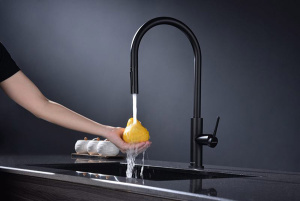 Смеситель для кухонной мойки Paulmark Senso Se215180-AN