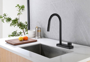 Смеситель для кухонной мойки Abber Wasser Kreis AF8114B с выдвижным изливом