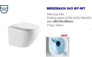 Подвесной унитаз WeltWasser Merzbach 043 MT-WT