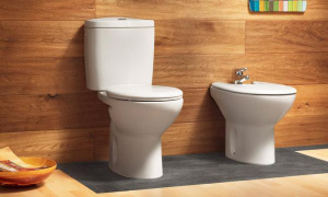 Напольный унитаз Roca Victoria 635, белый
