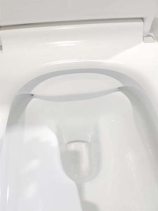 Подвесной унитаз Cerutti Maiella Aria MW CT9164 / Maiella Aria CT7402 безободковый с крышкой SoftClose, белый матовый