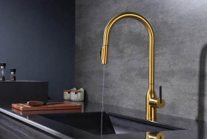 Смеситель для кухонной мойки Paulmark Universal Un213880-BG с подключением к фильтру воды