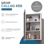 Шкаф-зеркало Vigo Callao 45