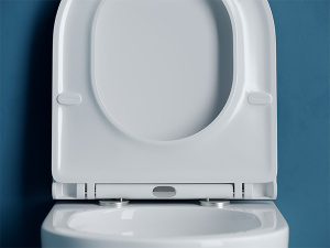 Подвесной унитаз CeramicaNova Vogue Торнадо CN4008T Soft Close