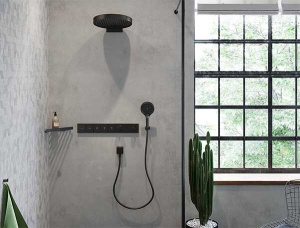 Держатель для душевой лейки Hansgrohe Porter E 28387670
