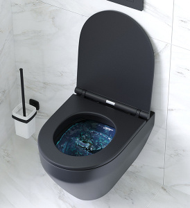 Подвесной унитаз AM.PM Spirit V2.0 FlashClean C701700MBSC