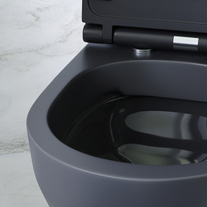 Подвесной унитаз AM.PM Spirit V2.0 FlashClean C701700MBSC