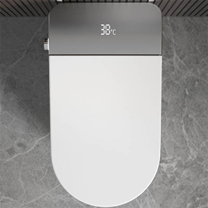 Умный приставной унитаз Cerutti Ester Smart CT10617 с функцией биде и импульсным смывом