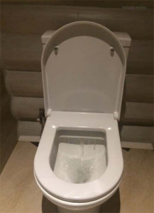 Напольный унитаз Vitra Diana Open-back 9816B003-7201 (сиденье Soft Close), белый