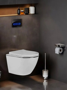 Подвесной унитаз Amore di Mare Delio Silver Line P203S