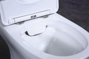 Напольный унитаз BelBagno Steam BB130CPR безободковый, белый