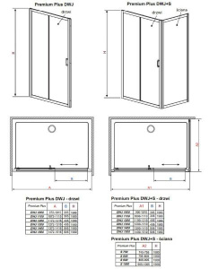 Душевая дверь Radaway Premium Plus DWJ, 100х190, прозрачный