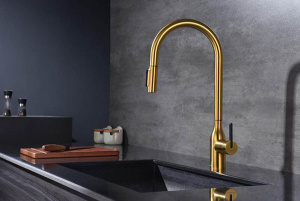 Смеситель для кухонной мойки Paulmark Universal Un213880-BG с подключением к фильтру воды