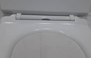 Приставной унитаз CeramaLux 217D безободковый (с крышкой SoftClose)