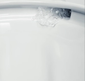 Подвесной унитаз Grohe Euro Ceramic 3932800H безободковый, белый