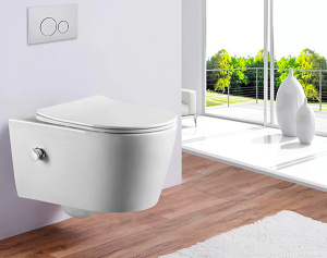 Подвесной унитаз Amore di Mare Temo Bidet P322-X с функцией биде